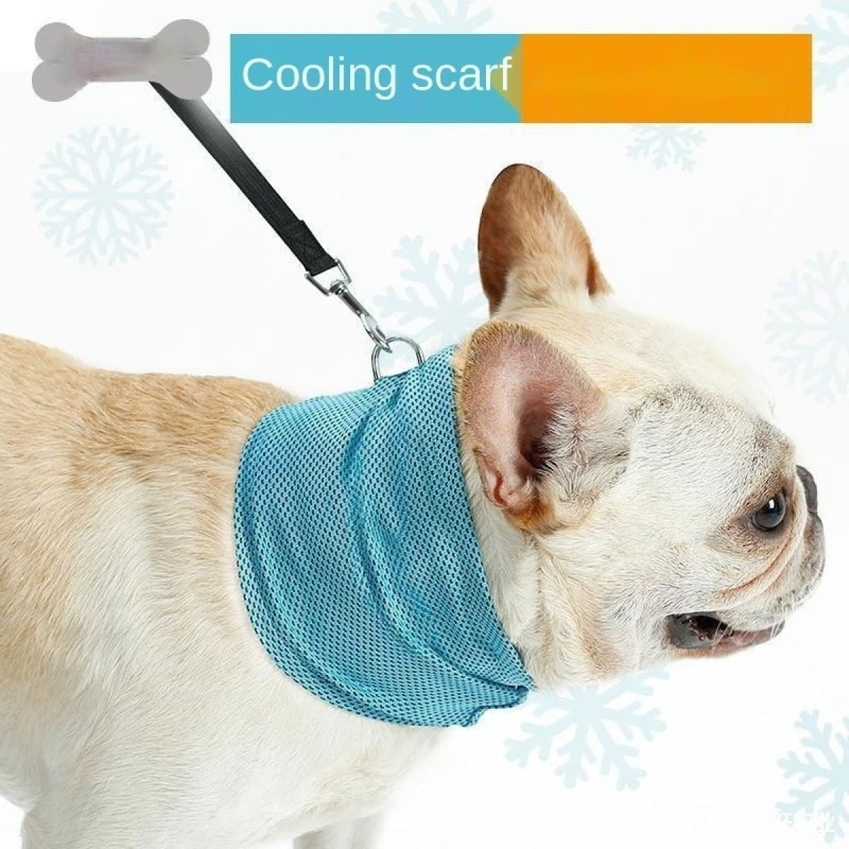 K9 Cool Wrap 6