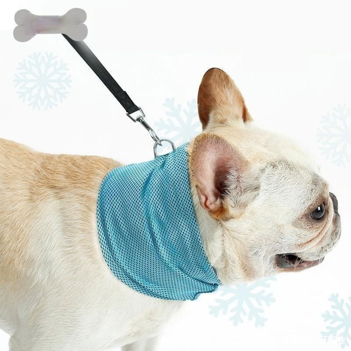K9 Cool Wrap 4