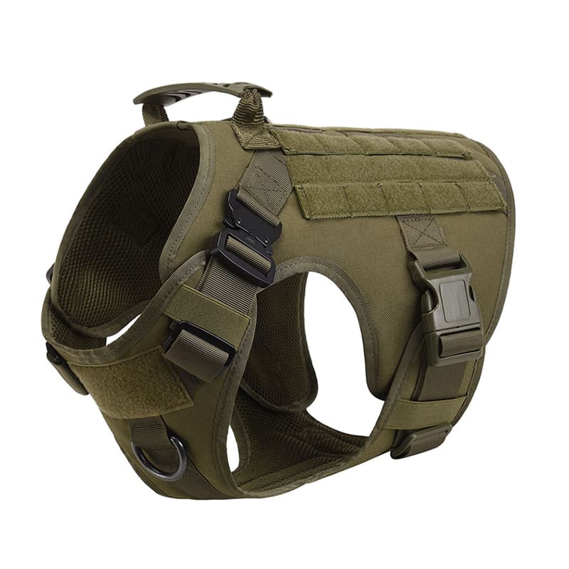 K9 Recon Set 11