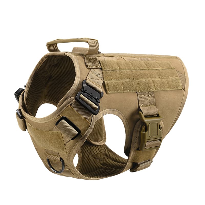K9 Recon Set 6