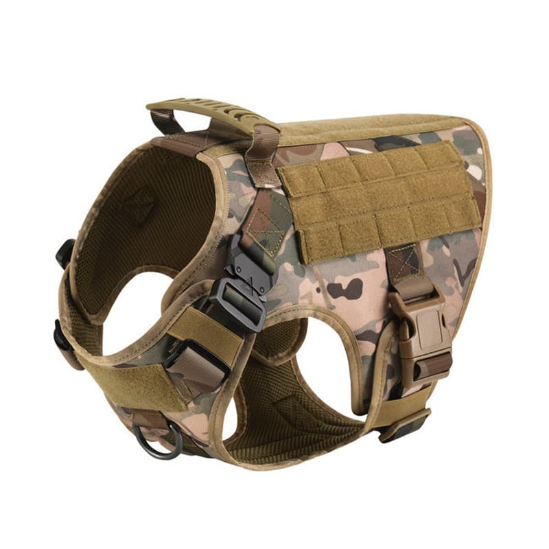 K9 Recon Set 5