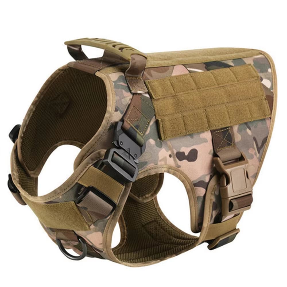 K9 Basecamp Set 5