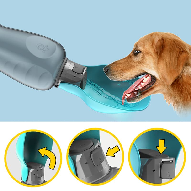 K9 Canteen 9