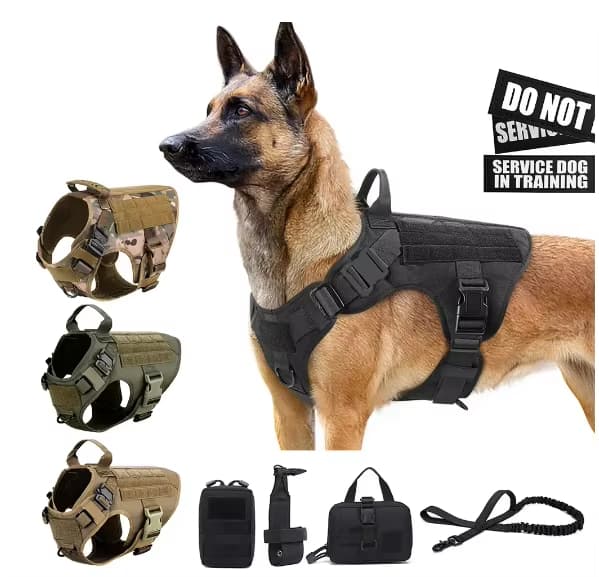K9 Basecamp Set 10