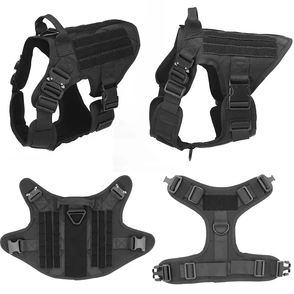 K9 Basecamp Set 2