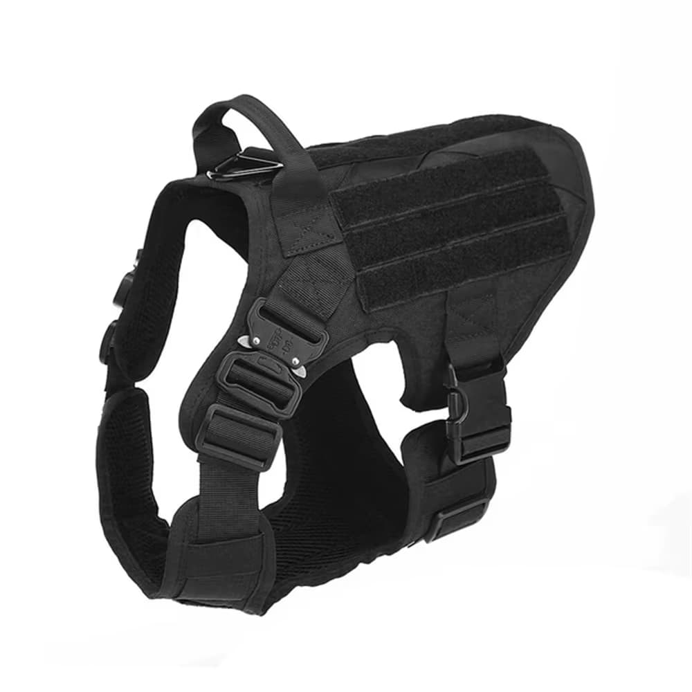 K9 Basecamp Set 6