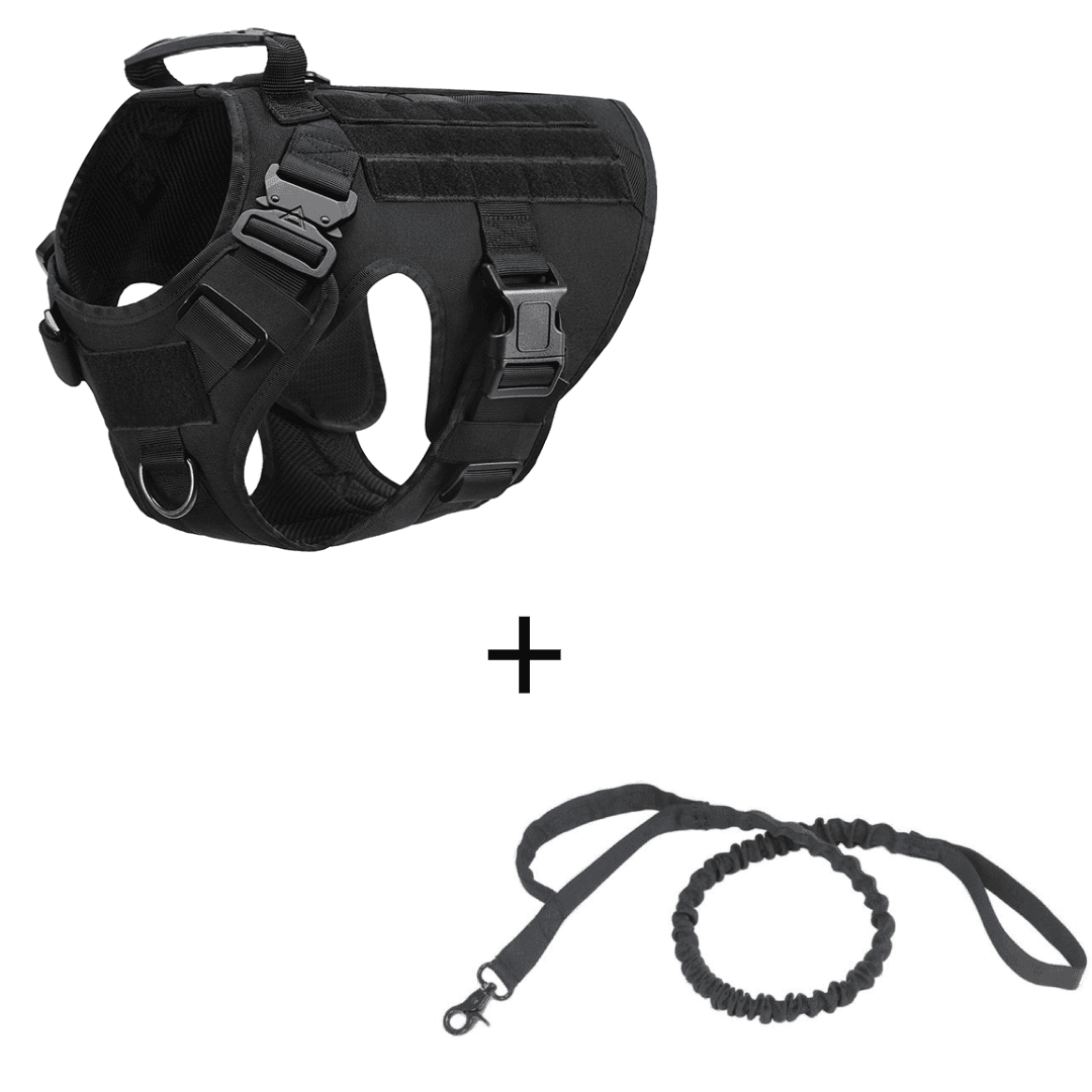 K9 Recon Set 10