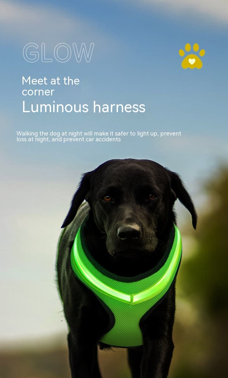 K9 Night Ops Harness 3