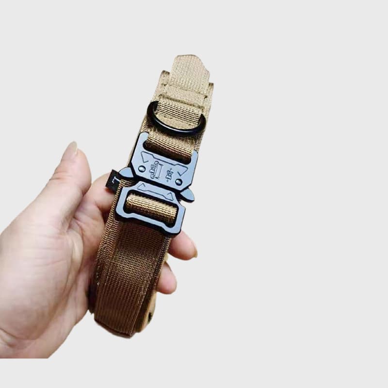 K9 Scout Collar 9