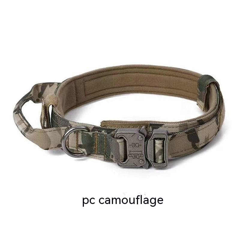 K9 Scout Collar 10