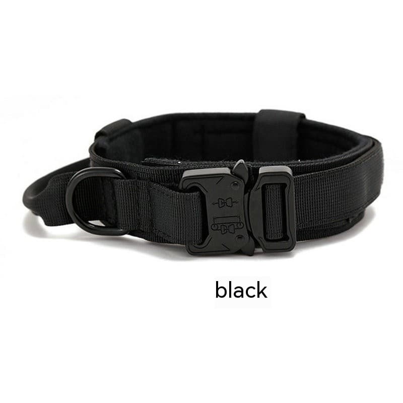 K9 Scout Collar 12