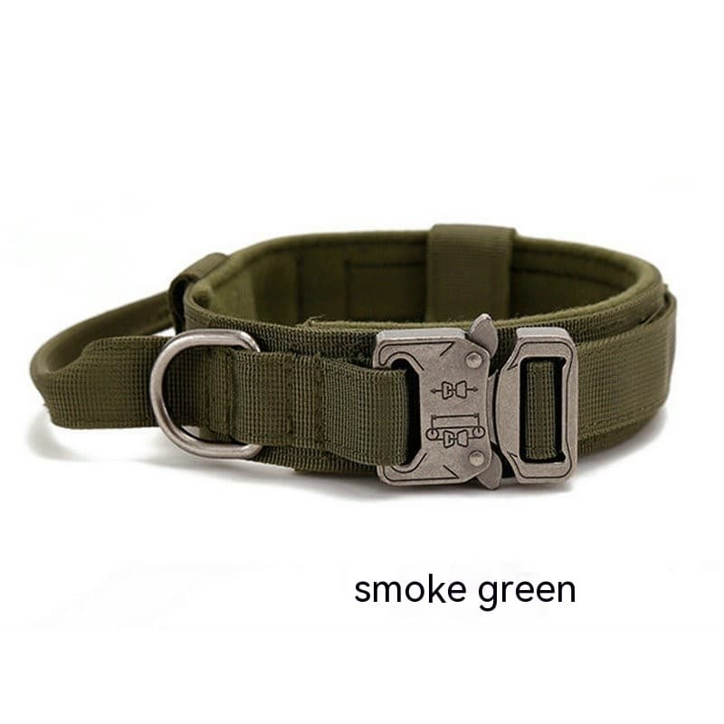 K9 Scout Collar 7