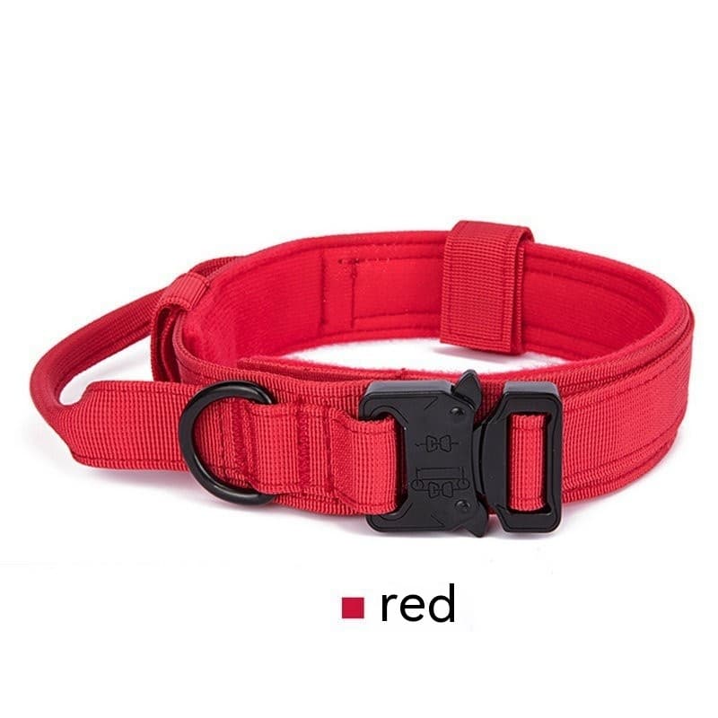 K9 Scout Collar 14