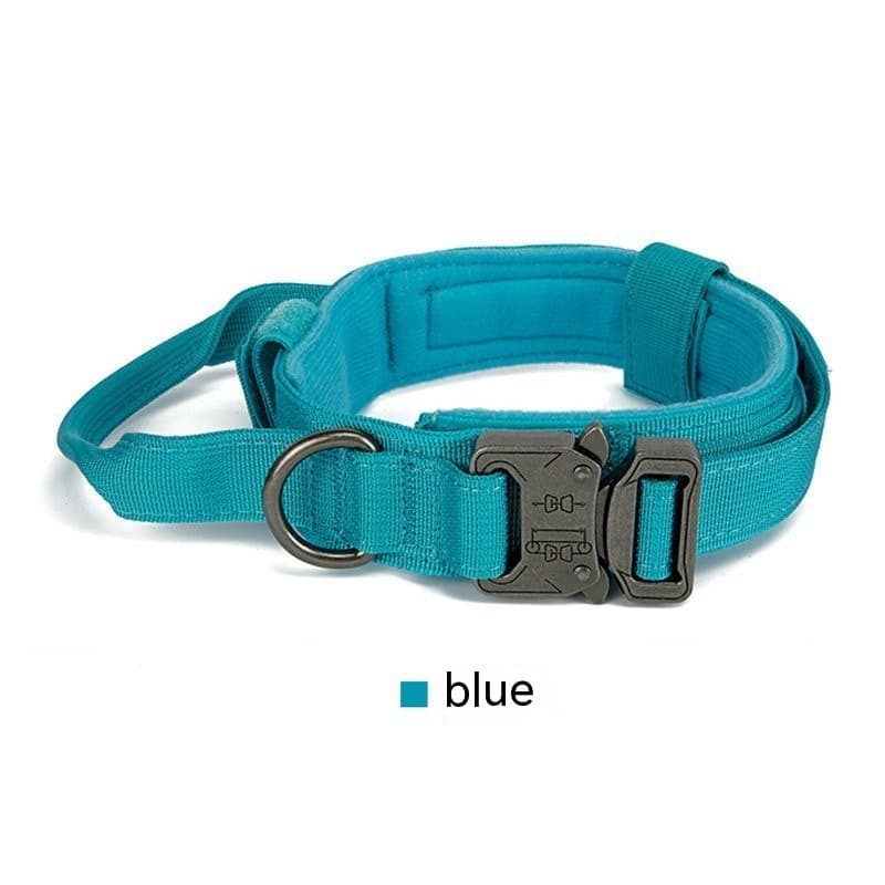 K9 Scout Collar 6