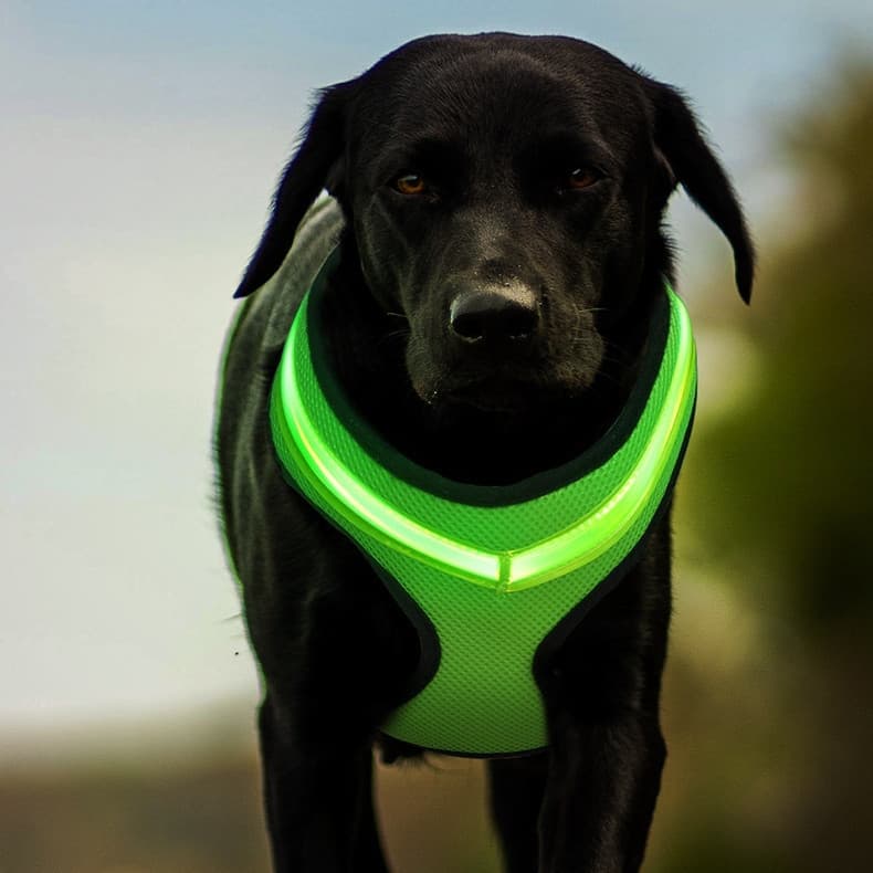 K9 Night Ops Harness