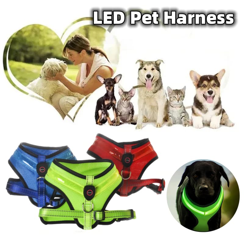 K9 Night Ops Harness 10