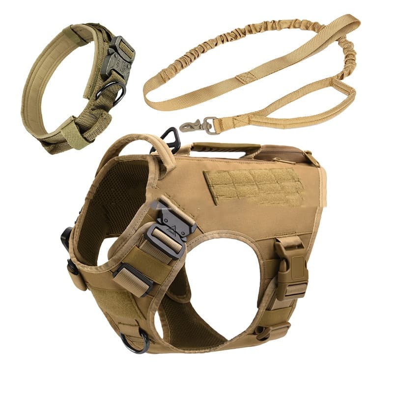 K9 Gear